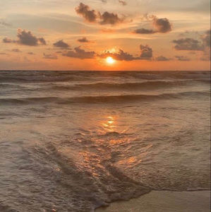 Meet your Posher, Madeline